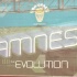 amnesia_new_york_2011-001