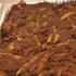 back_nine_aug14-024