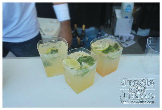 cocktails_jul30-014