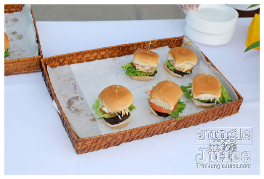 vip_500_jul10-014