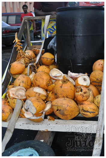 svg_jouvert_2011-069
