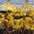 svg_mardi_gras_july5-048