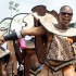 svg_mardi_gras_july5-069