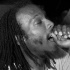 toronto_carnival_please_stay_aug12-071