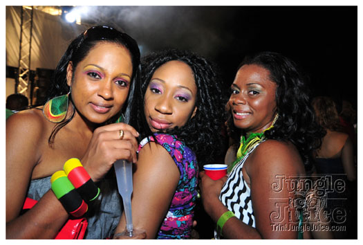 beach_house_2011_part1-205