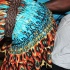 beach_house_2011_part1-193