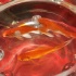 bishops_2011-039