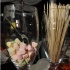 bishops_2011-041