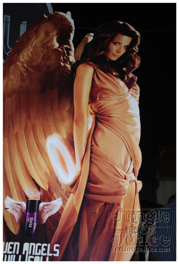 caution_2011-066