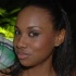 central_bank_all_inclusive_2011-081