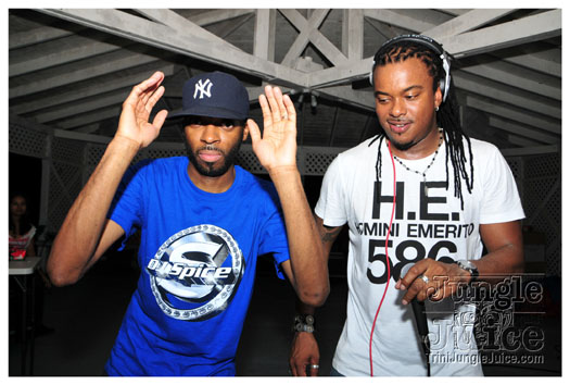 flight_cruise_carnival_2011-021
