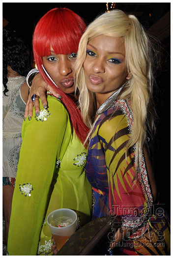flight_cruise_carnival_2011-079