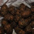 hysteria_carnival_cookoff_2011-039
