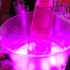 neon_yuma_inclusive_feb26-070