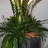 one_fete_2011_part1-005