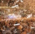 one_fete_2011_part1-227