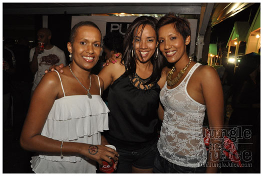 pure_2011-012
