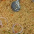 saute_trinbago_2011-030