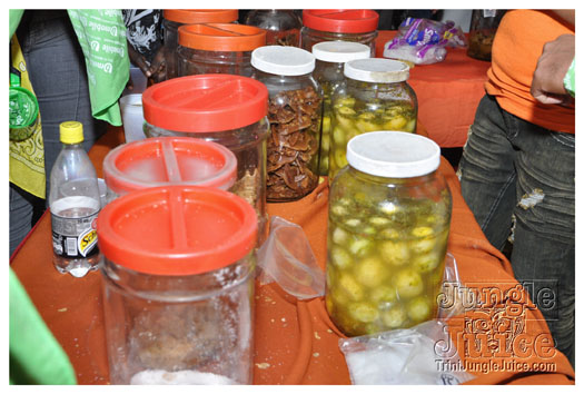 soca_in_moka_xii_2011-204