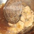 soca_on_the_ave_feb12-058