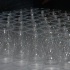 soca_sensation_feb19-042