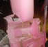 tribe_ice_jan8_2011-034