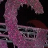 tribe_ice_jan8_2011-048