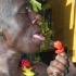 whyte_angels_jouvert_2011-008