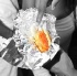 shine_dc_2011_jun26-077