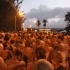 foreday_morning_2012_aug4-093