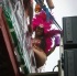 kadooment_day_2012_pt2-004