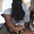rise_n_shine_miami_2012_pt3-116