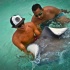 boat_lime_rum_point_stingray_city_may6-015
