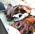 beach_jouvert_2012_part2-003