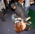 kes_and_friends_live_mar9-122