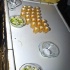 am_bush_feb18-012