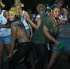 am_bush_feb18-061
