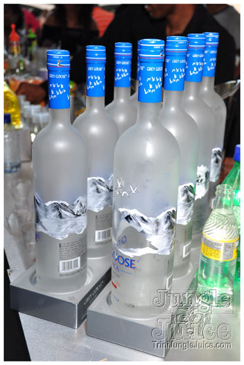 beach_house_2012_part2-145