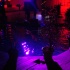 chow_chow_dec8-005