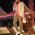 house_of_marley_aug30-013