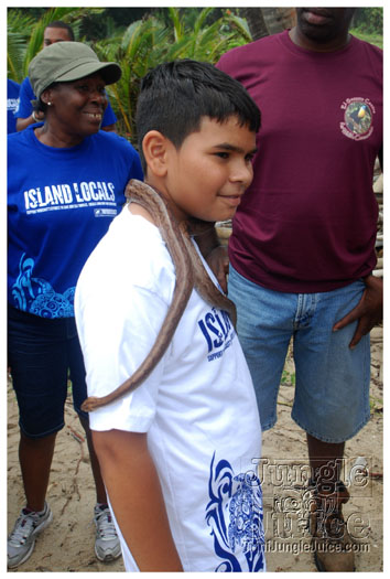 island_local_save_turtle_mar4-123
