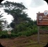 island_local_save_turtle_mar4-001