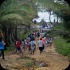 island_local_save_turtle_mar4-002