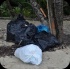 island_local_save_turtle_mar4-004