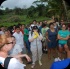 island_local_save_turtle_mar4-006