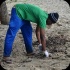 island_local_save_turtle_mar4-007
