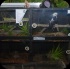 island_local_save_turtle_mar4-010