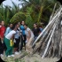 island_local_save_turtle_mar4-011