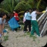 island_local_save_turtle_mar4-013