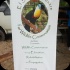 island_local_save_turtle_mar4-014